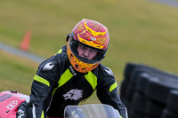 PJ-Motorsport-2019;anglesey-no-limits-trackday;anglesey-photographs;anglesey-trackday-photographs;enduro-digital-images;event-digital-images;eventdigitalimages;no-limits-trackdays;peter-wileman-photography;racing-digital-images;trac-mon;trackday-digital-images;trackday-photos;ty-croes